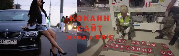 кокс Богородицк
